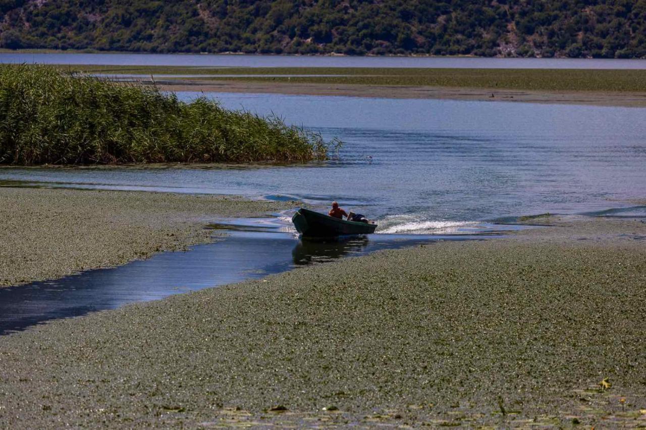 Lake House Buric Vranjina 외부 사진